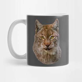 European Lynx Mug